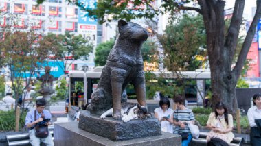 Tokyo, Japonya - Ağustos 2018: Köpek anıt heykel Shibuya İstasyonu infront Hachiko altında uyuyan kedi.