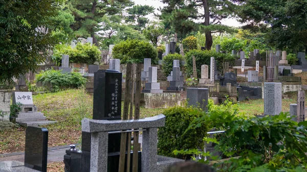 Tóquio Japão Agosto 2018 Cenário Uma Lápide Cemitério Público Japão — Fotografia de Stock