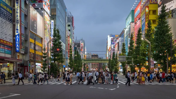 Tokyo Japon Août 2018 Akihabara Crosswalk Junction Soir Avec Des — Photo