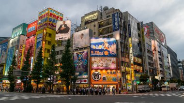 Tokyo, Japonya - Ağustos 2018: Akihabara yaya geçidi Kavşağı'nda renkli ışıklar ile akşam. Japonca Akihabara Street, Japonya üzerinde karşıdan karşıya.