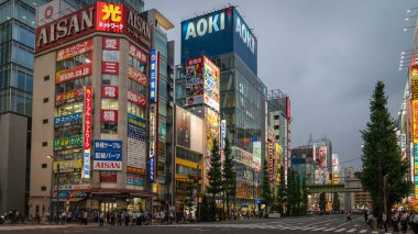 Tokyo, Japonya - Ağustos 2018: Akihabara yaya geçidi Kavşağı'nda renkli ışıklar ile akşam. Japonca Akihabara Street, Japonya üzerinde karşıdan karşıya.