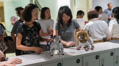 Tokyo, Japonya - Ağustos 2018: Sony AIBO robotları Tokyo'da bir Sony showroom ile etkileşim bilinmeyen kadın