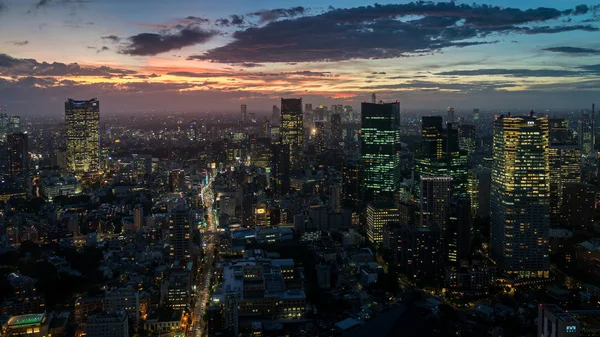 Tóquio Japão Agosto 2018 Horizonte Tóquio Durante Pôr Sol Visto — Fotografia de Stock