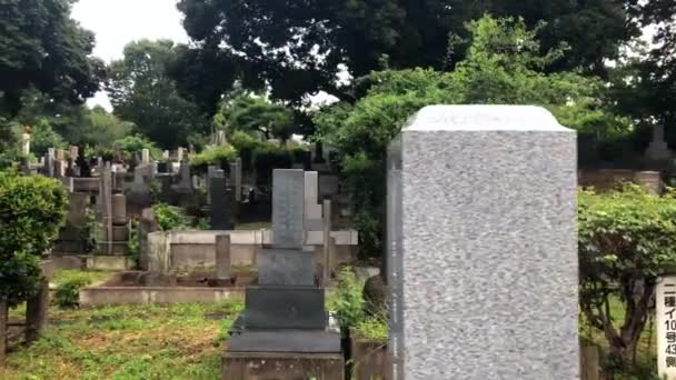 일본에서 묘지에서 2018 — 비디오