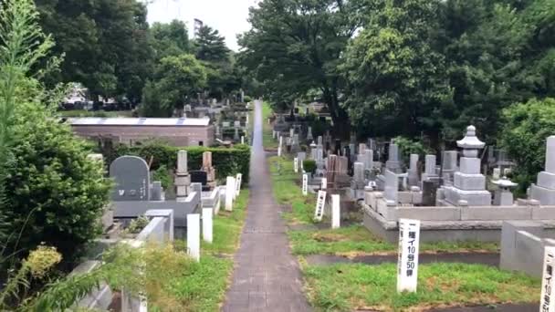 Tokio Japón Agosto 2018 Escenario Cementerio Público Japonés Tokio Japón — Vídeos de Stock