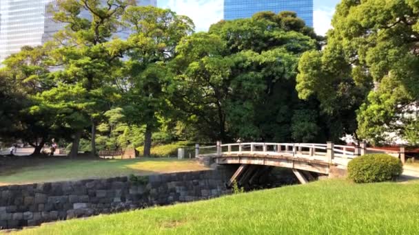 Tokio Japonia Sierpień 2018 Widok Ogrodów Hamarikyu Jego Duży Atrakcyjny — Wideo stockowe