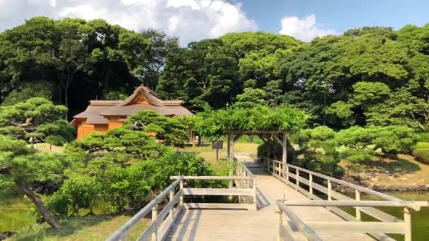 Tokyo Jepang Agustus 2018 Pemandangan Taman Hamarikyu Dengan Taman Lanskap — Stok Video