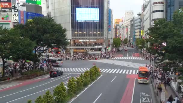 Tokyo Japan Augustus 2018 Timelapse Video Van Stroom Van Verkeer — Stockvideo