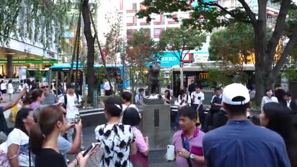 日本东京 游客们的照片是在涉谷站前的狗纪念雕像上拍摄的 — 图库视频影像
