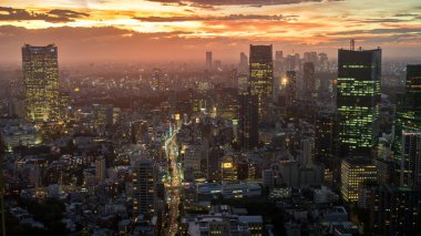 Tokyo, Japonya - Ağustos 2018: Tokyo siluetinin Tokyo kuleden görüldüğü gün batımı sırasında