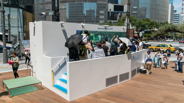 Tokyo, Japonya - Ağustos 2018: Sony akvaryum tropikal balık ve insanlar onları, Tokyo, Japonya izliyor ile Ginza Sony parkının infront