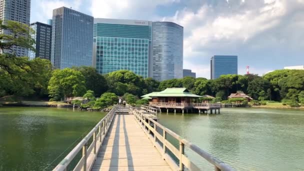 Τόκιο Ιαπωνία Αυγούστου 2018 Πάρκο Hamarikyu Gardens Είναι Ένα Κήπο — Αρχείο Βίντεο