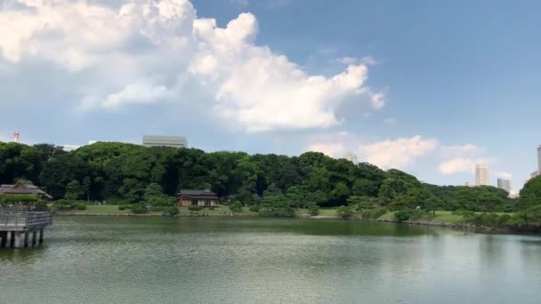 Tokio Japonia Sierpień 2018 Ogrody Hamarikyu Jest Duży Atrakcyjny Krajobraz — Wideo stockowe