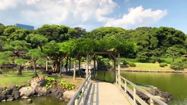 Tóquio Japão Agosto 2018 Hamarikyu Gardens Grande Atraente Jardim Paisagístico — Vídeo de Stock