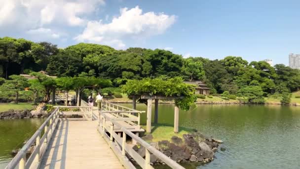 Tokyo Japon Août 2018 Hamarikyu Gardens Est Grand Attrayant Jardin — Video