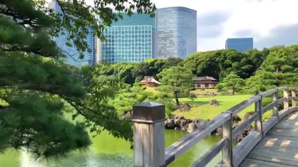 Τόκιο Ιαπωνία Αυγούστου 2018 Πάρκο Hamarikyu Gardens Είναι Ένα Κήπο — Αρχείο Βίντεο