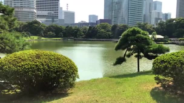 Tóquio Japão Agosto 2018 Hamarikyu Gardens Grande Atraente Jardim Paisagístico — Vídeo de Stock