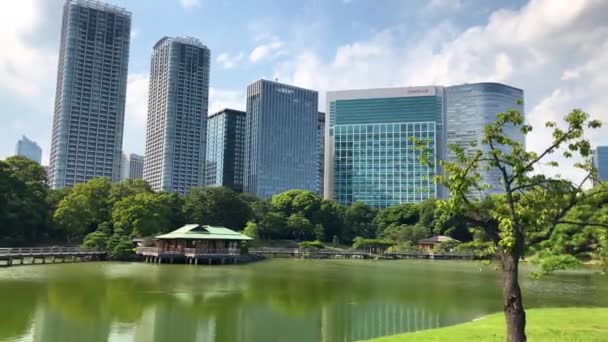 Τόκιο Ιαπωνία Αυγούστου 2018 Πάρκο Hamarikyu Gardens Είναι Ένα Κήπο — Αρχείο Βίντεο