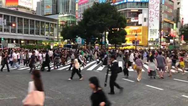 日本东京 2018年8月 城市行人交通的人穿越著名的涉谷十字路口 — 图库视频影像