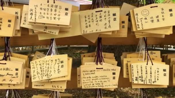 Tokyo Japan Augustus 2018 Houten Gebed Plaques Opknoping Meiji Jingu — Stockvideo