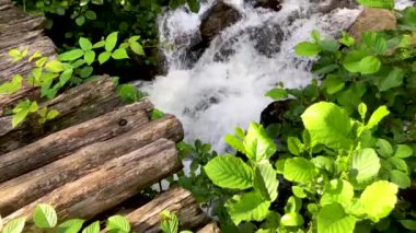 Güzel yeşil doğa manzara nehir ve orman Karcal dağlarında Karadeniz Bölgesi, Karadeniz, Artvin, Türkiye