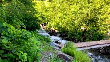 Güzel yeşil doğa manzara nehir ve orman Karcal dağlarında Karadeniz Bölgesi, Karadeniz, Artvin, Türkiye