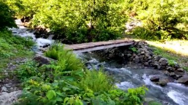 Güzel yeşil doğa manzara nehir ve orman Karcal dağlarında Karadeniz Bölgesi, Karadeniz, Artvin, Türkiye