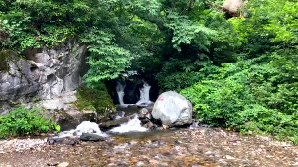 Vacker Grön Natur Landskap Flod Och Skog Karcal Bergen Blacksea — Stockvideo