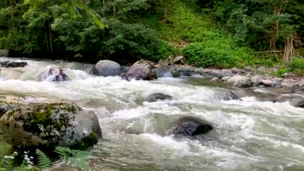 Hermoso Paisaje Natural Verde Río Bosque Las Montañas Kárcalas Región — Vídeo de stock
