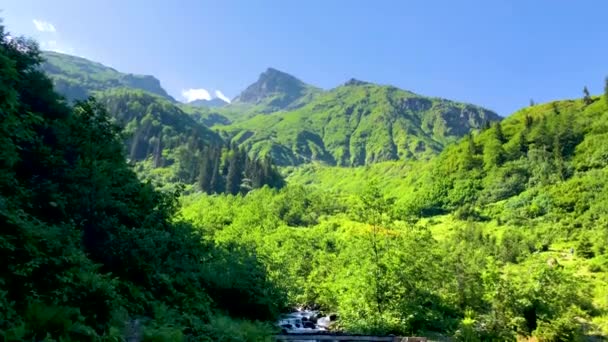 Όμορφο Πράσινο Τοπίο Του Ποταμού Και Δάσος Στα Karcal Βουνά — Αρχείο Βίντεο