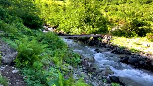 Nádherná Zelená Příroda Řeky Lesa Karcal Horách Černé Moře Regionu — Stock video