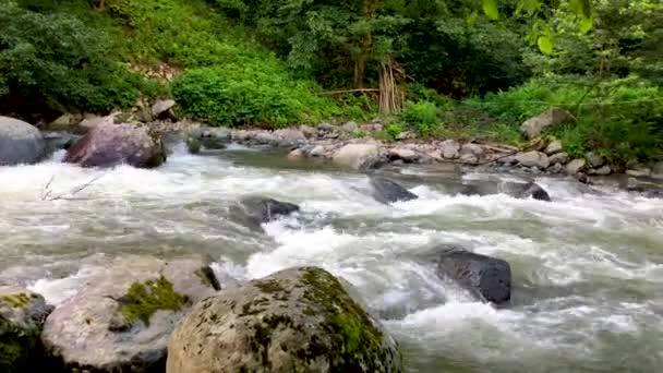 Красивої Природи Зелений Ландшафт Річка Ліс Karcal Гір Blacksea Області — стокове відео