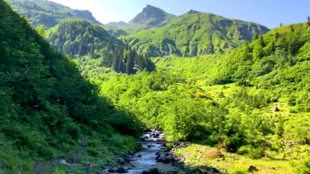 Schöne Grüne Naturlandschaft Mit Fluss Und Wald Den Karkalbergen Der — Stockvideo