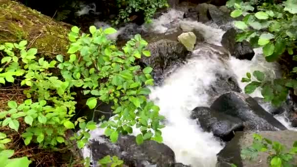 Schöne Grüne Naturlandschaft Mit Fluss Und Wald Den Karkalbergen Der — Stockvideo