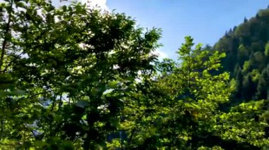 Güzel yeşil doğa manzara Karcal dağ Karadeniz bölgesinde, Artvin, Türkiye