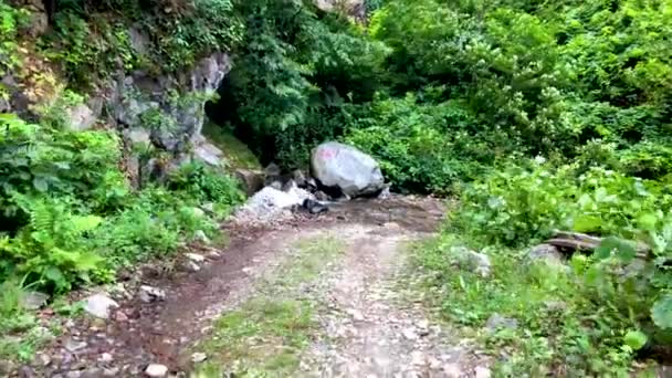 Güzel Yeşil Doğa Manzara Karcal Dağ Karadeniz Bölgesinde Artvin Türkiye — Stok video