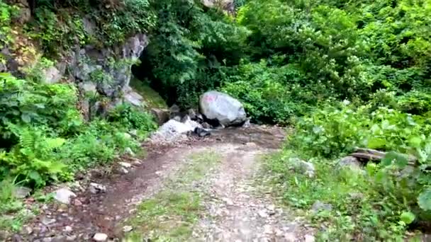 Hermoso Paisaje Natural Verde Montañas Kárcalas Región Blacksea Artvin Turquía — Vídeo de stock