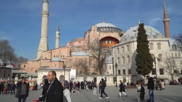 Stanbul Türkiye Mart 2019 Sultanahmet Meydanı Nda Ayasofya Ayasofya Turist — Stok video