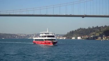 İstanbul, Türkiye-Mart 2019: Boğaz Köprüsü ile martılar ve martı ile Boğaziçi Turu Cruise Boat