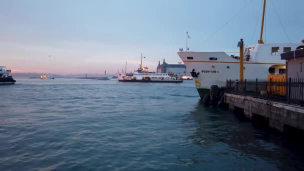 Istanbul Turquía Marzo 2019 Estambul Ferry Pasajeros Navegando Bósforo — Vídeo de stock