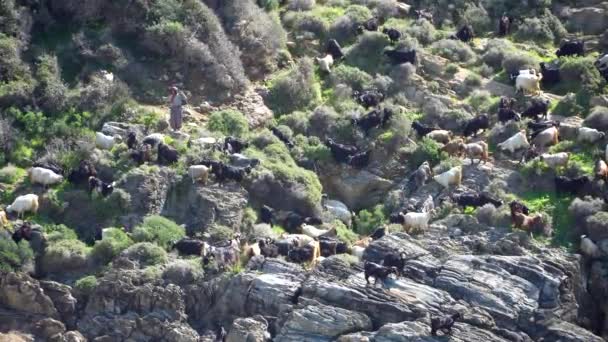 Antalya Türkiye Nisan 2019 Kayalıkların Içinde Bir Kadın Çoban Ile — Stok video