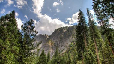 Yosemite CA USA - Ağustos 2014: Yosemite Ulusal Parkı Panoramik Arazi