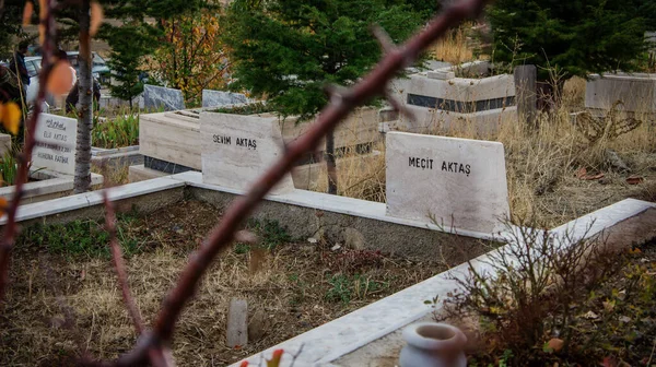 Istanbul Turecko Říjen 2012 Muslimské Hřbitovy Pod Malým Stromečkem Turecku — Stock fotografie