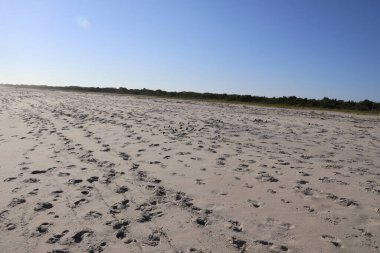 Cape May 'in beyaz kumlu plajı