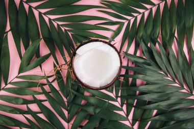 Pembe arka planda, palmiye yapraklarının etrafındaki hindistan cevizi.