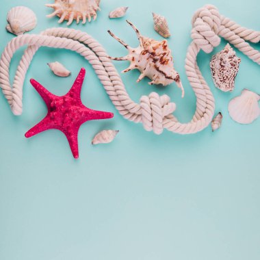 Yaz tatili mavi arka plan Yıldız balığı, deniz ipi ve kopyalama alanı