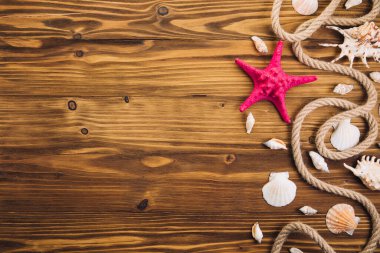 Yaz zamanı deniz tatili arka planında yıldız balığı, deniz ipi ve kopyalama alanı