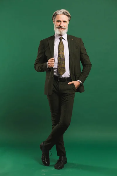 Stylish bearded middle-aged man in khaki suit on green background