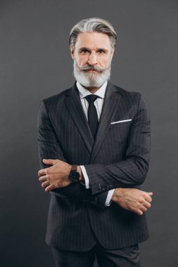 Gri takım elbiseli şık ve modaya uygun olgun bir adamın portresi. Gri arkaplanda iş ve moda yakın plan konsepti.