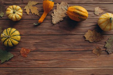 Şükran Günü konsepti. Yerel üretim balkabakları, sonbahar kuru meşesi ve akçaağaç yaprakları ahşap desenli masa dekorasyonu için. 